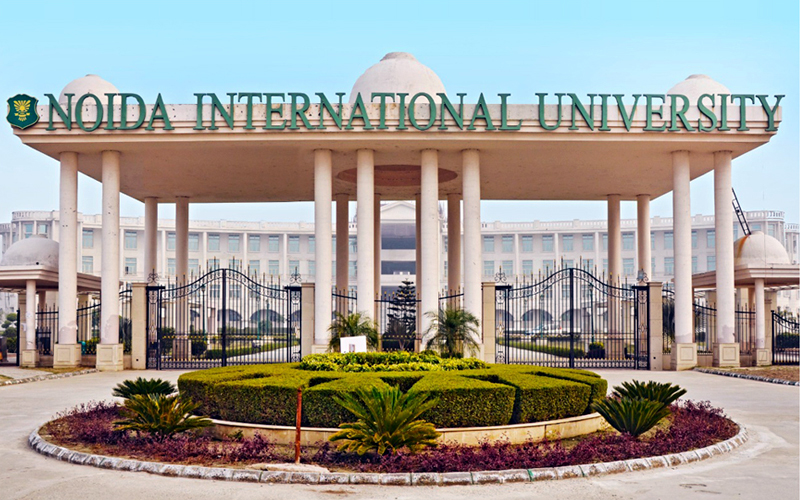 Noida international university greater