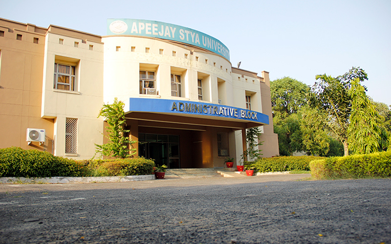 School of design and visual arts apeejay stya university