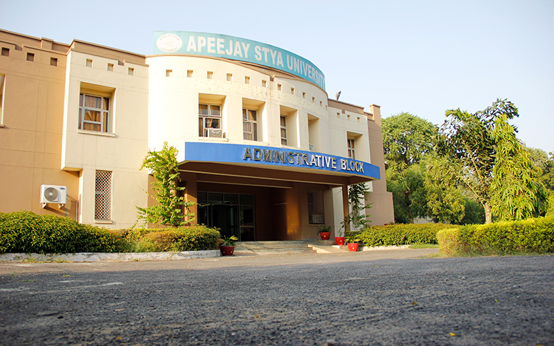 School of education apeejay stya university