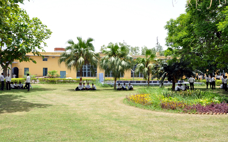 Amar singh college