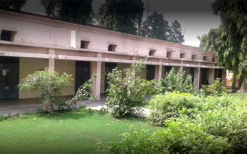 Dav pg college