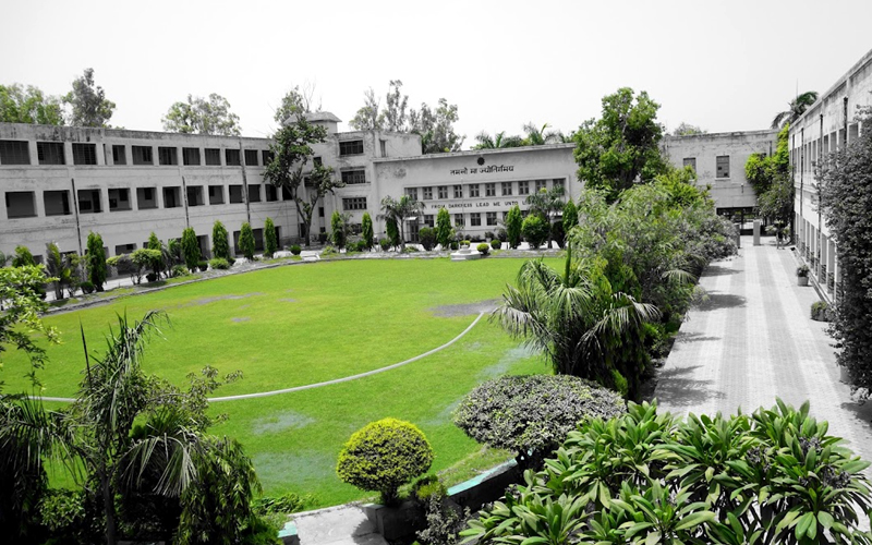 Multanimal modi college