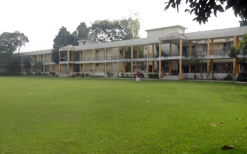 V m l g college