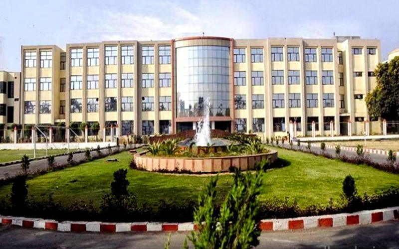 Jp institute of management