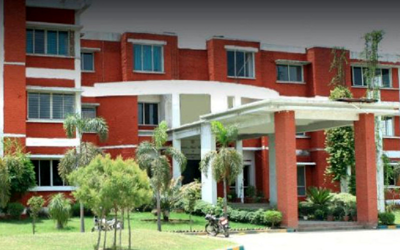 Svs school of management