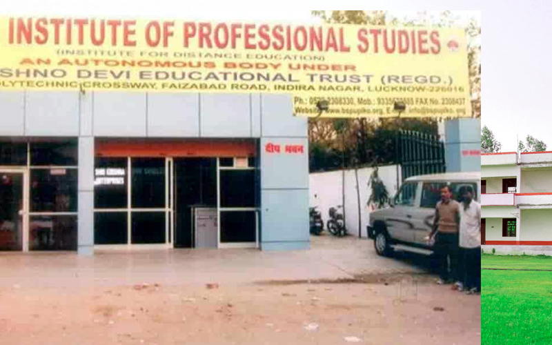 Indian institute of professional studies